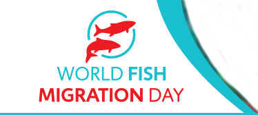 world-fish