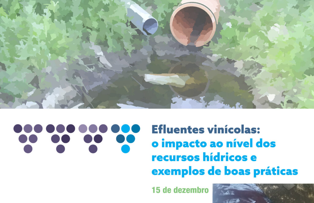 Efluentes vinícolas: o impacto ao nível dos recursos hídricos e exemplos de boas práticas